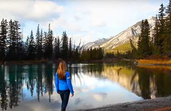 Study in the Canadian Rockies !